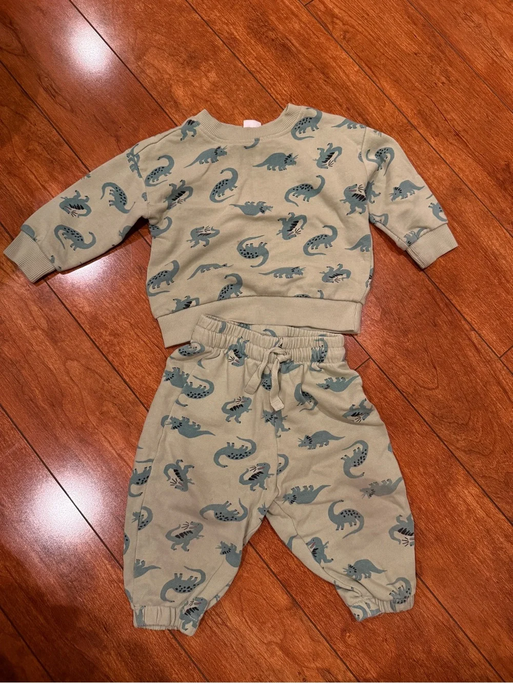 Hanna Andersson French Terry Dinosaur Sweater & Pant set | 100% organic cotton
